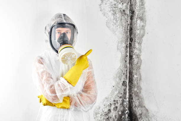 Best Asbestos and Lead Testing During Mold Inspection  in USA